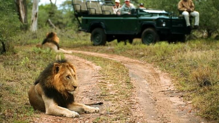 3 Day Hoyo Hoyo Lodge Safari